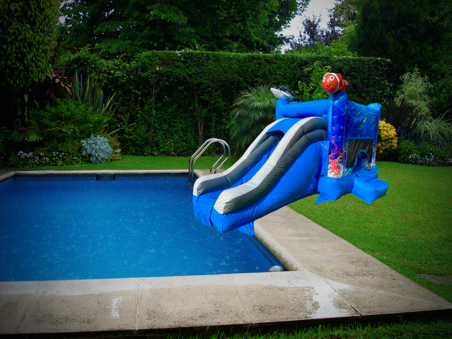 Peixinhos para piscina